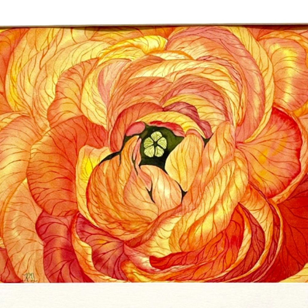 PAINTING WATERCOLOR ORIGINAL ART RANUNCULUS FLOWER ORANGE YELLOW 11x14 MAT 16X20